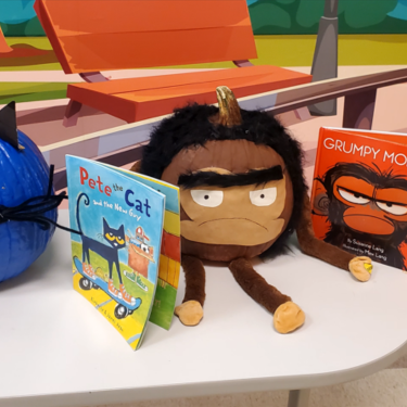 Pete the Cat a brown pumpkin grump monkey book